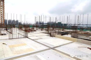 廣西建工一建來賓祥康苑項(xiàng)目質(zhì)量安全標(biāo)準(zhǔn)化施工圖集編制與應(yīng)用指南