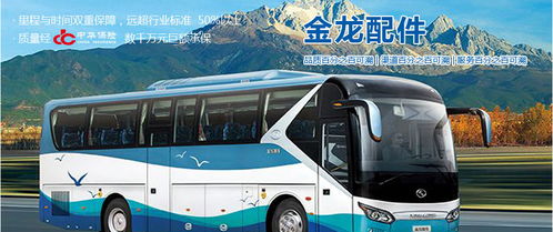 汽車火花塞市場分析 廠家、經(jīng)銷商、維修廠地址、價(jià)格及北邁網(wǎng)汽后通在小微型客車領(lǐng)域的應(yīng)用